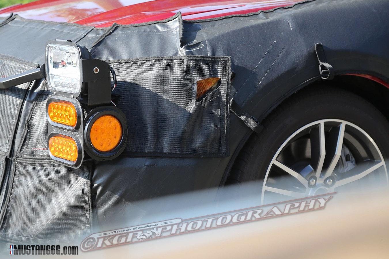 Mustang-11.jpg
