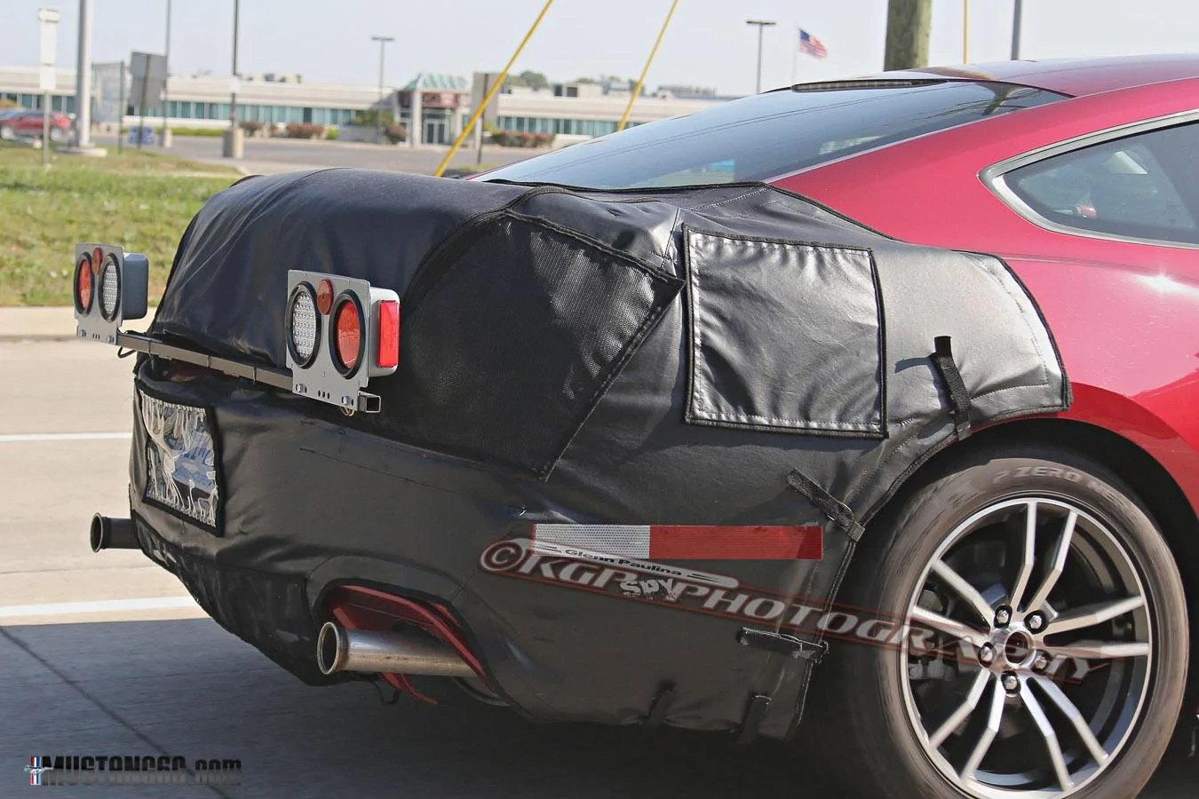 Mustang-12.webp