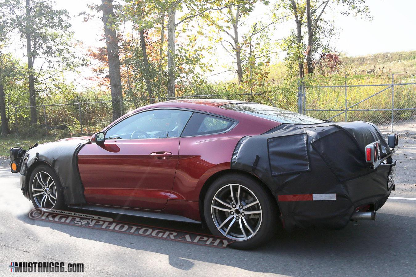 Mustang-13.jpg