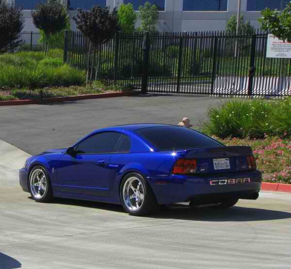 svtvenm-albums-03-04-mustang-cobra-terminators-picture16-sonic-blue-svt-mustang-cobra-custom-for.jpg