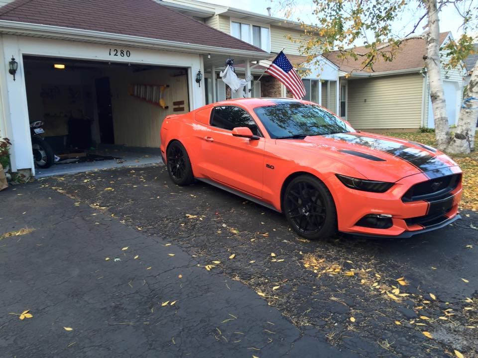louvers 1.jpg