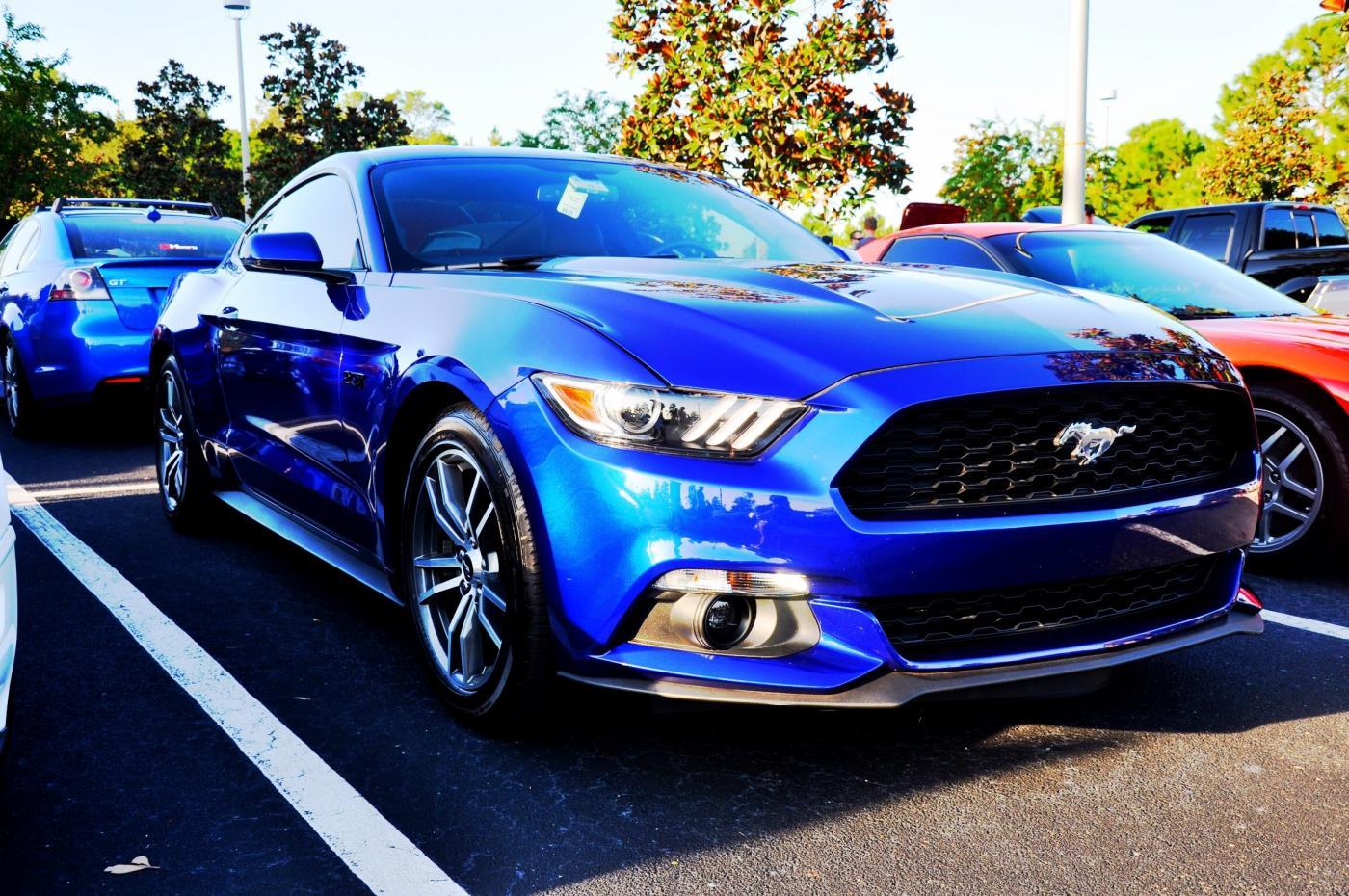 Mustang.jpg
