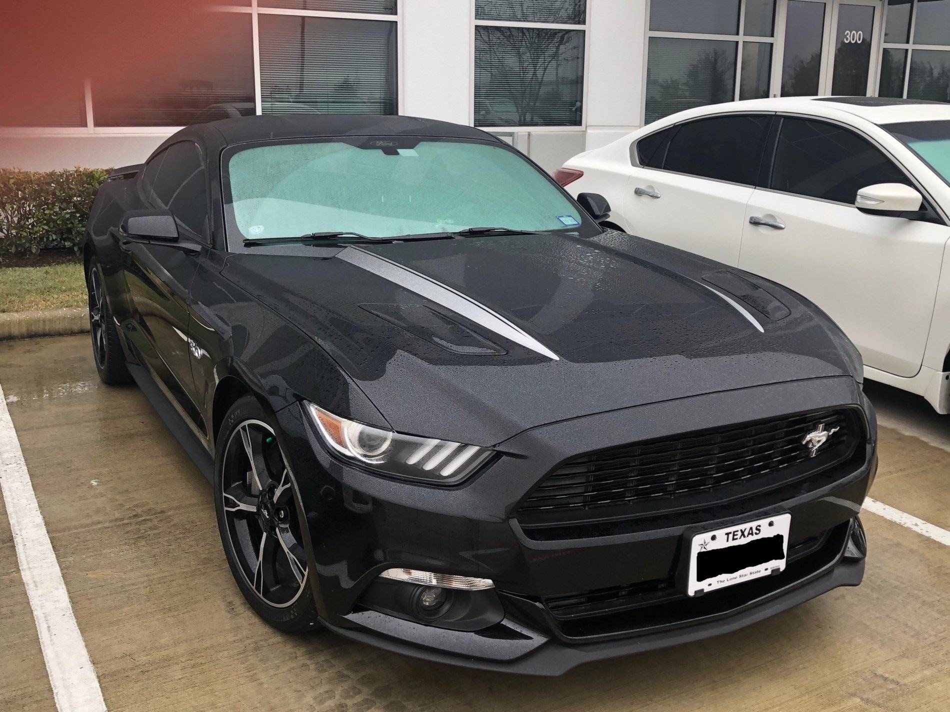 MustangGT1.jpg