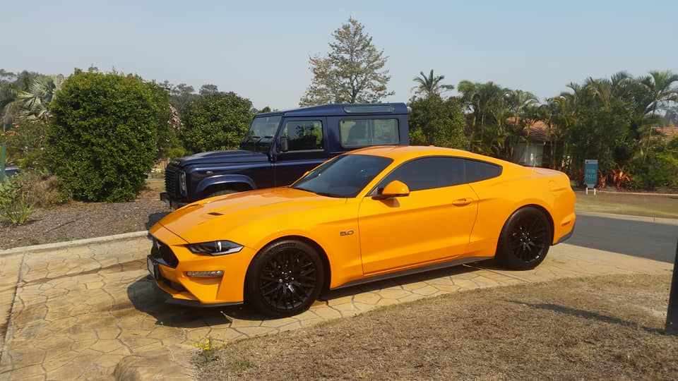 mustang2.jpg