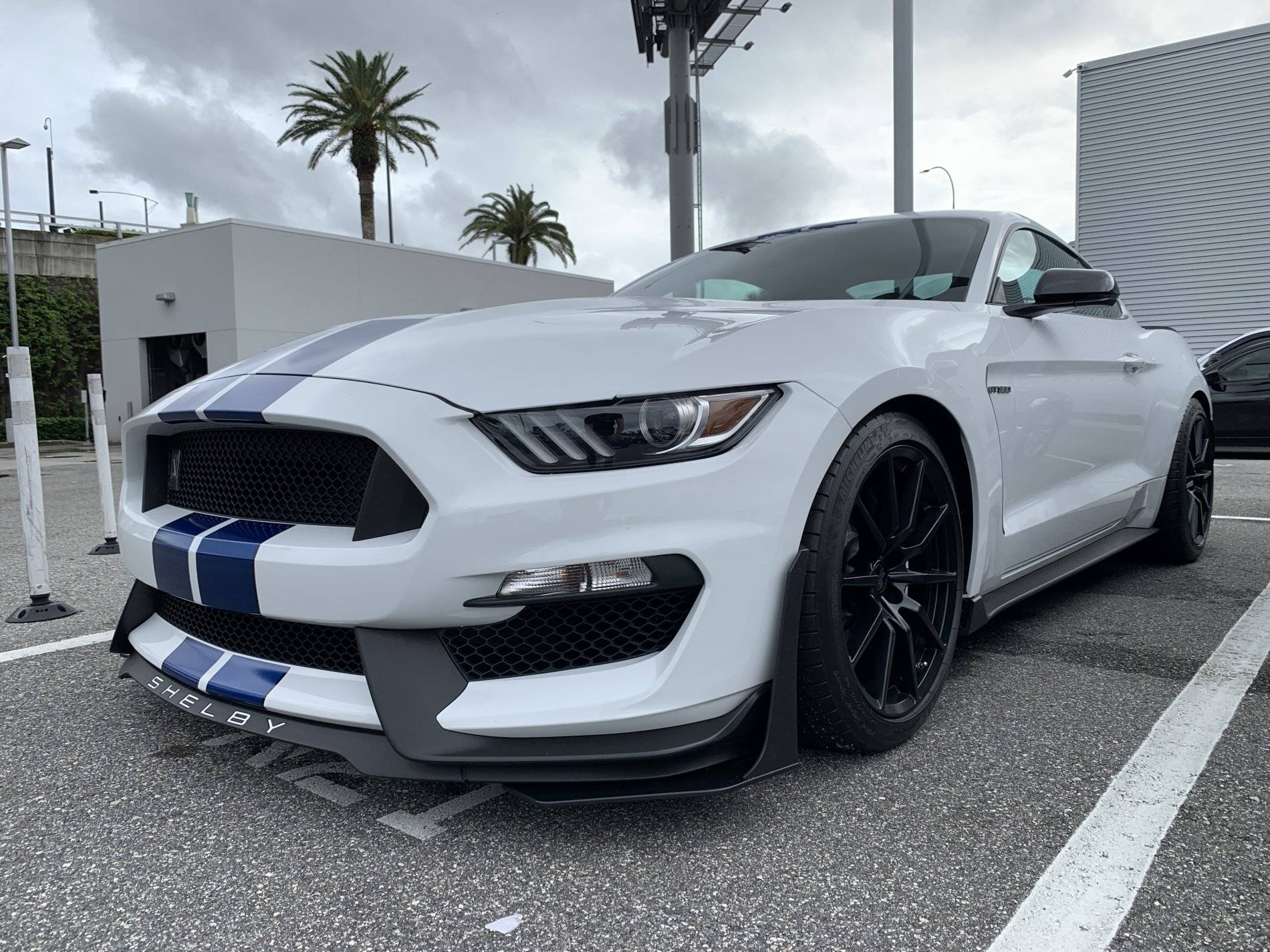 E3934913-9FEF-46E9-8196-F2AE5BB9EFDC.jpeg