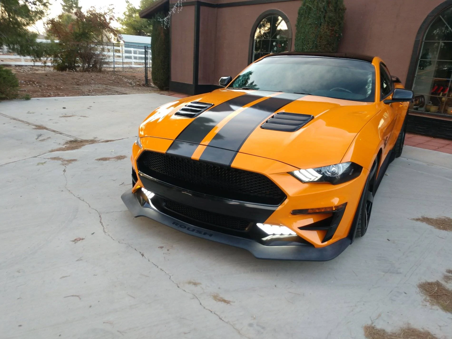 IMG_20200105_162502621.webp