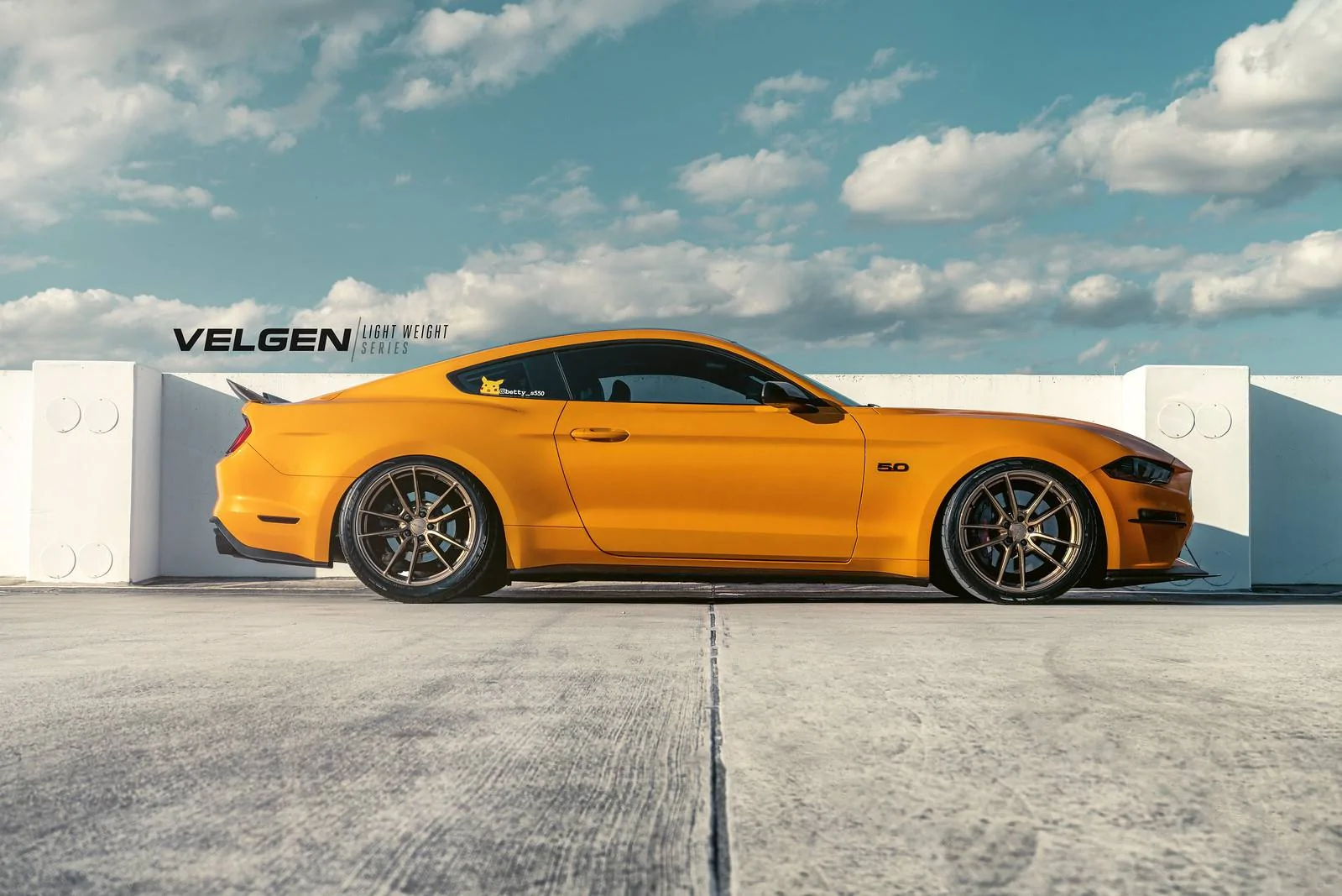 49229099693_ae8e381a7f_h.webp