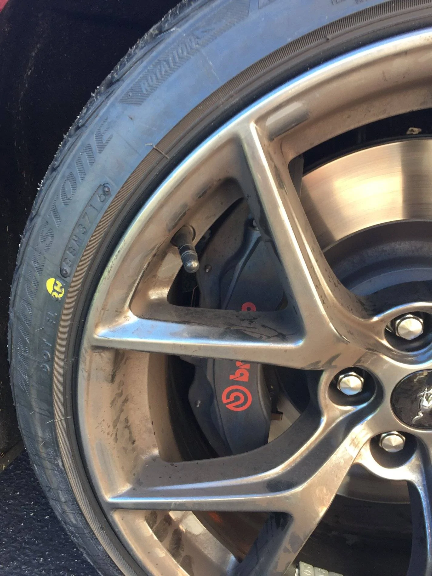 Front Rim.webp