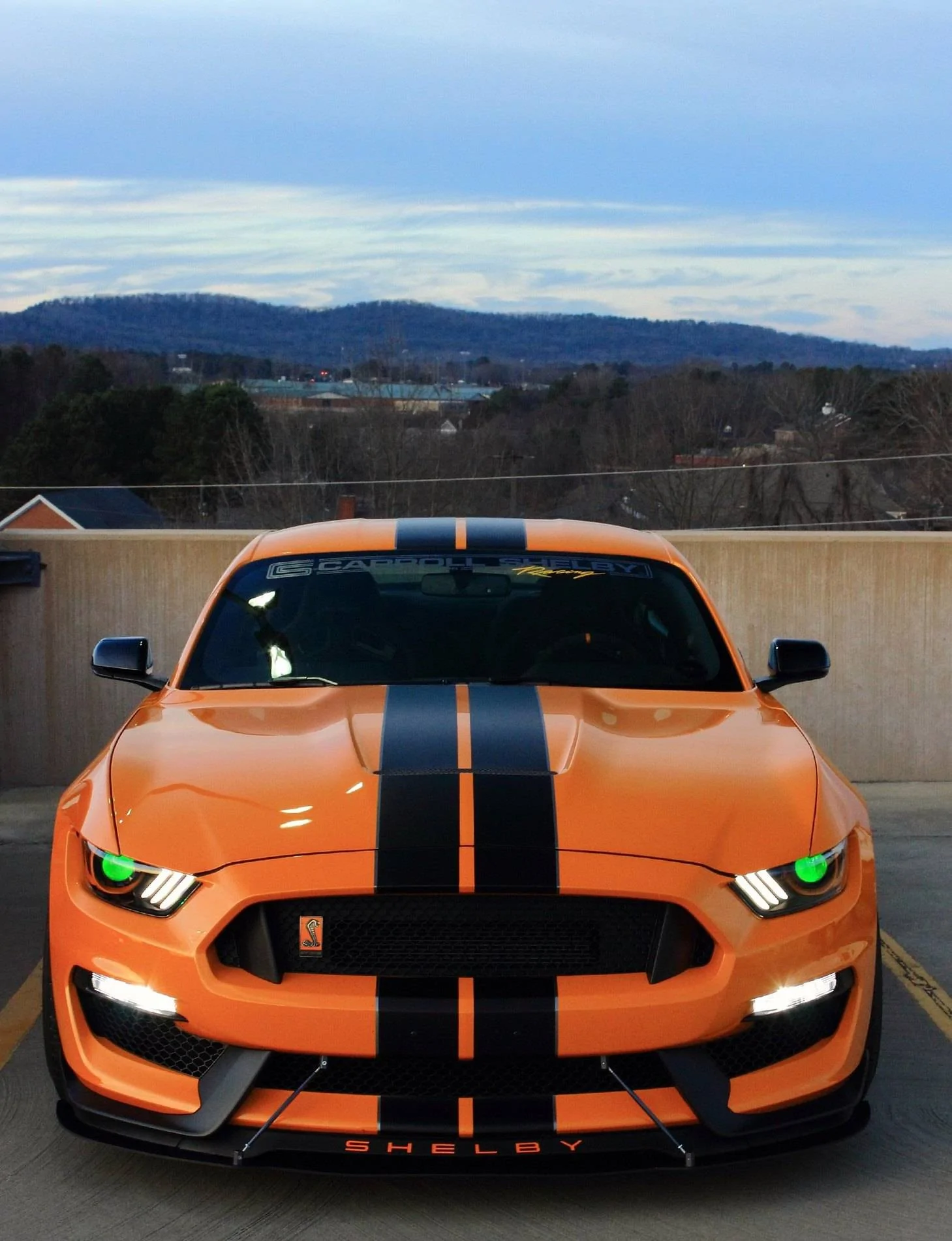 49288945567_ee817092e8_k.webp