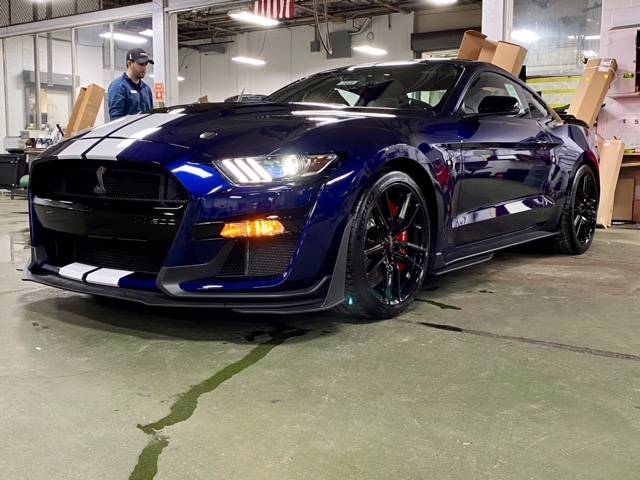 Shelby 11.jpeg