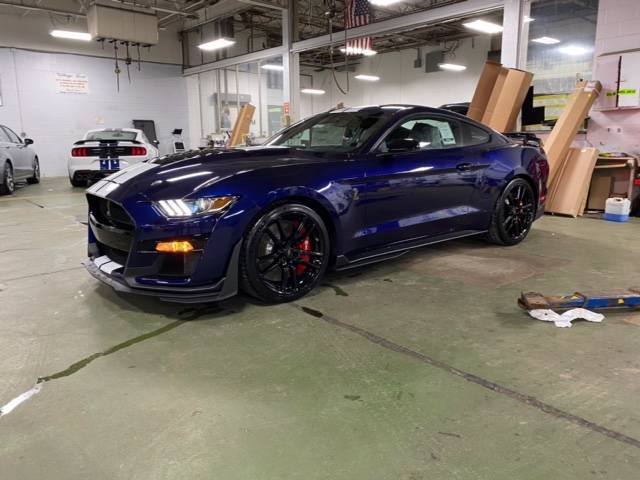 Shelby 12.jpeg
