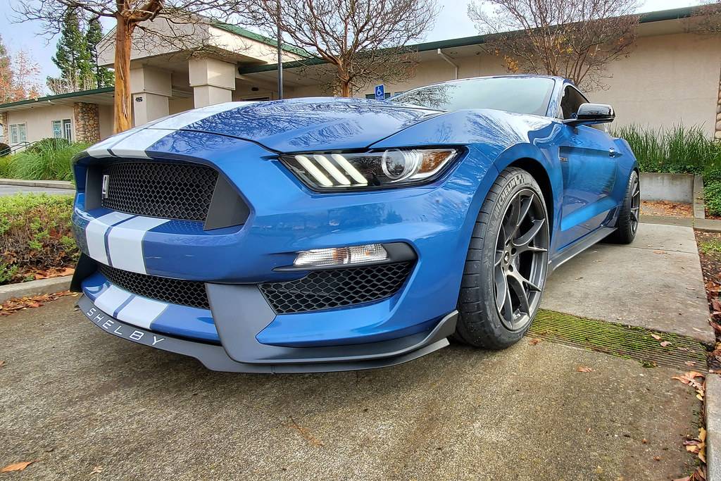 49357217896_749ae0b084_b.jpg