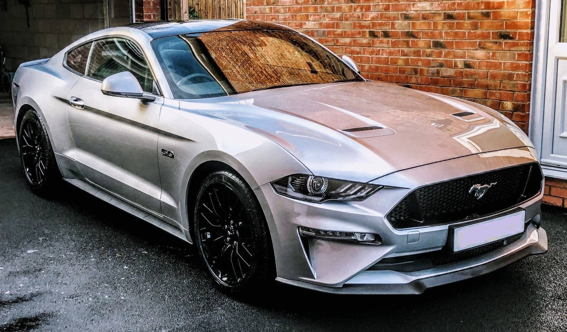 mustang (2).jpg