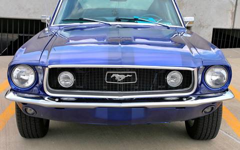fog lights.jpg