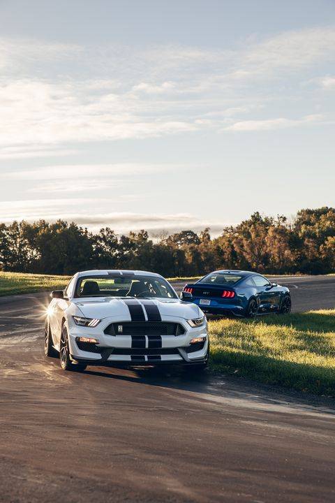ford-mustang-shelby-gt350-v-ford-mustang-gt-ppl2-776-hdr-1578627270.jpg?crop=1.00xw:1.jpg