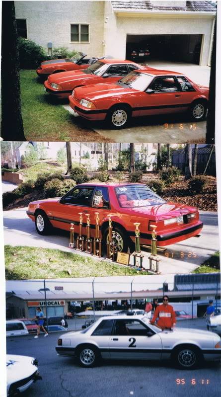Foxcars.jpg