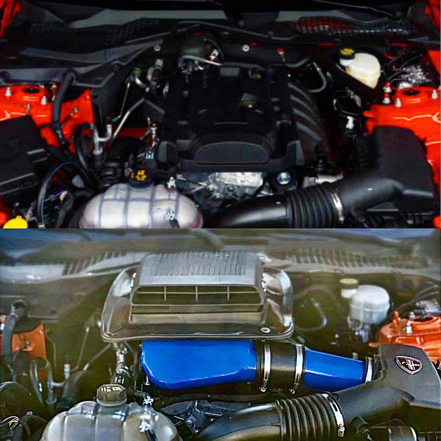 E212A6CC-BA50-401C-AFCA-43B7BA6764E0.webp