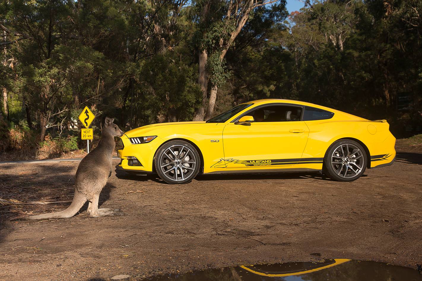 mustang-xr8-road-7488.jpg