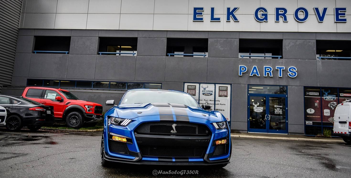 GT500-Delivery-6-of-10.jpg
