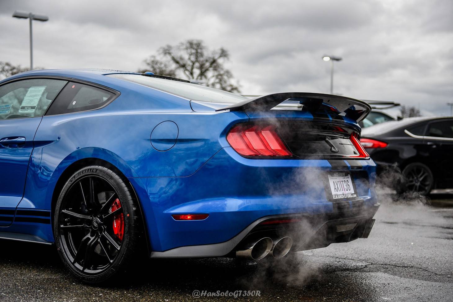 GT500-Delivery-10-of-10.jpg