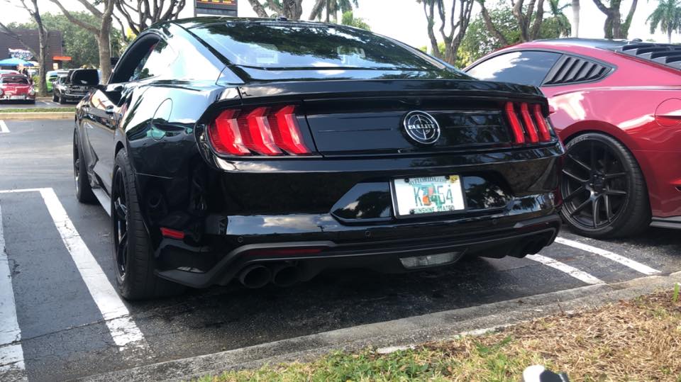 rear .jpg