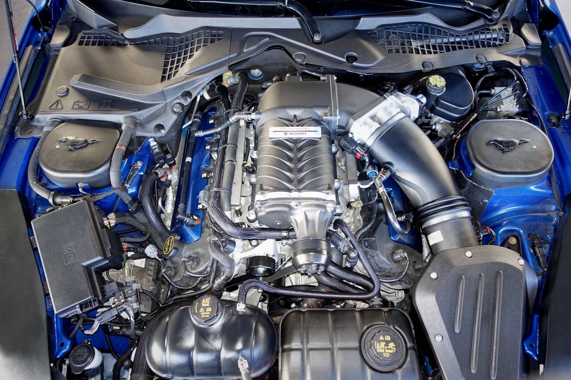 EngineBay.JPG