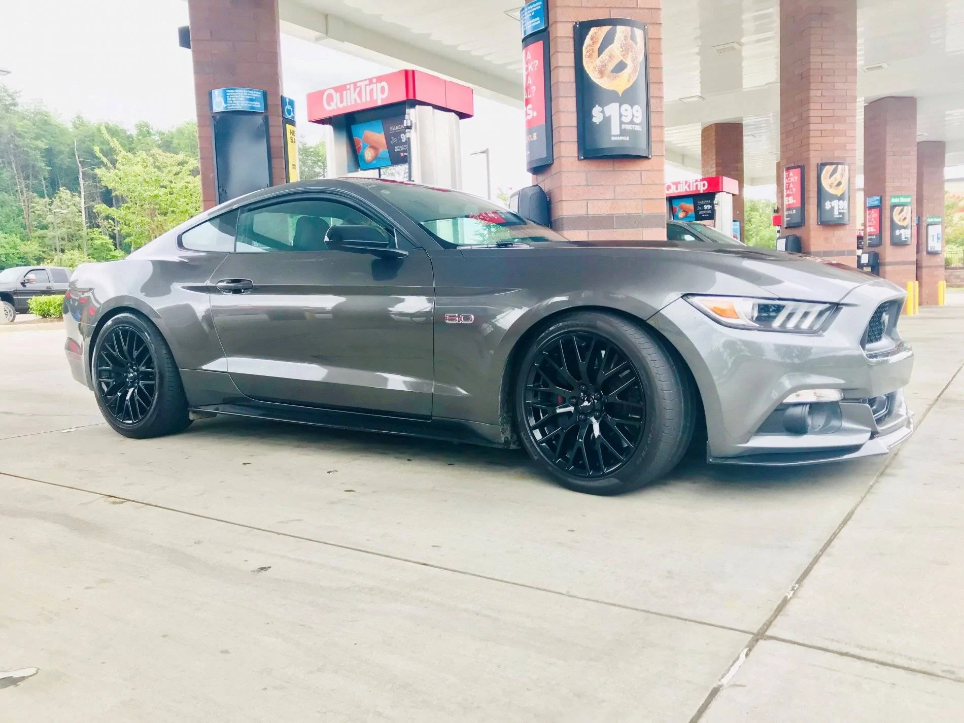 stang.webp