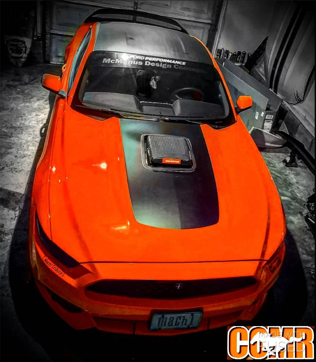 1268060F-7EF6-4106-8E3B-675D849A0BF6.webp