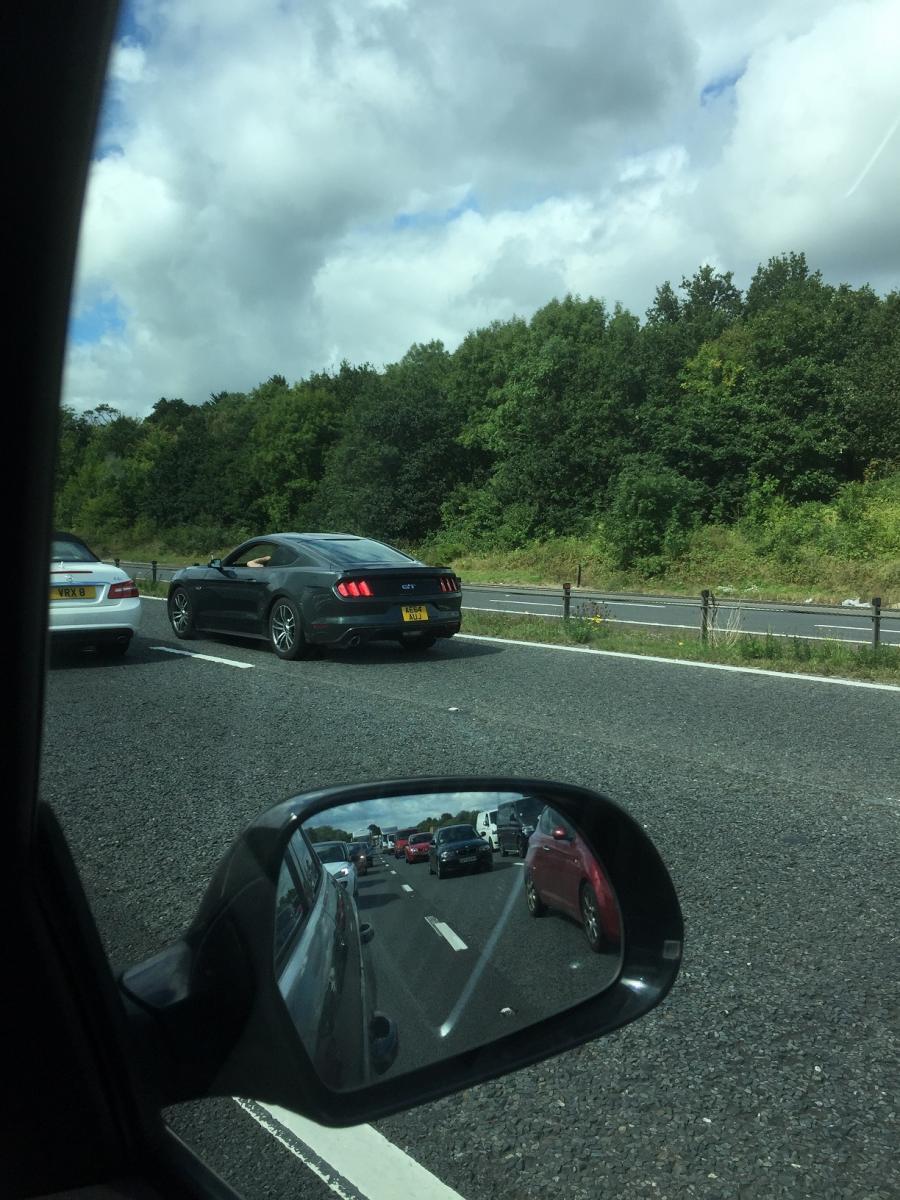 Mustang spotted 070915.jpg