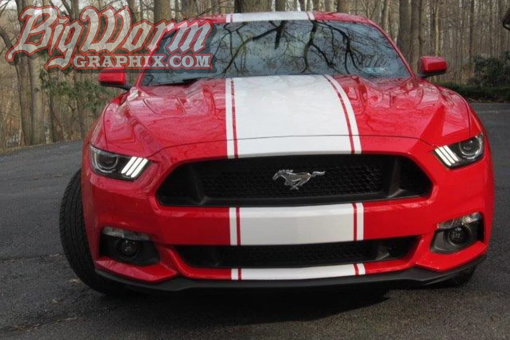 2015-gt-red-gls-wht-supersnake-lrg.webp