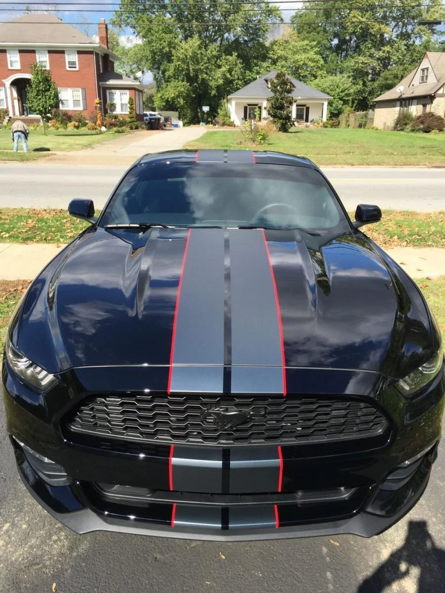 stripe front.webp