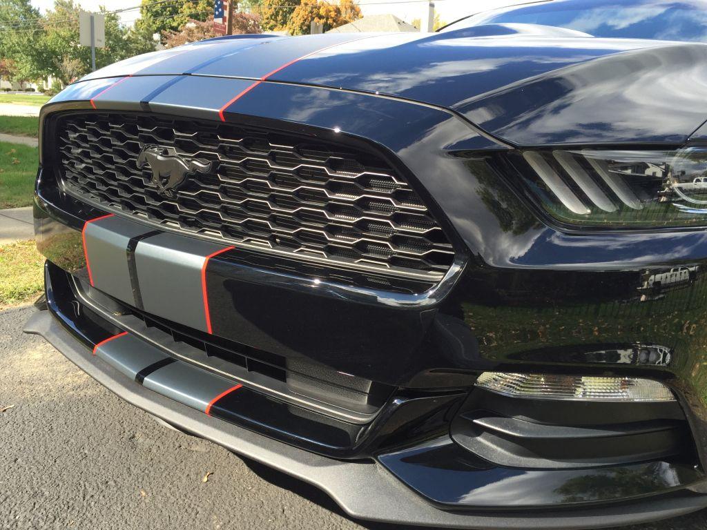 stripes front close.jpg