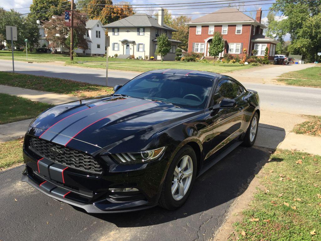 stripes front left.jpg