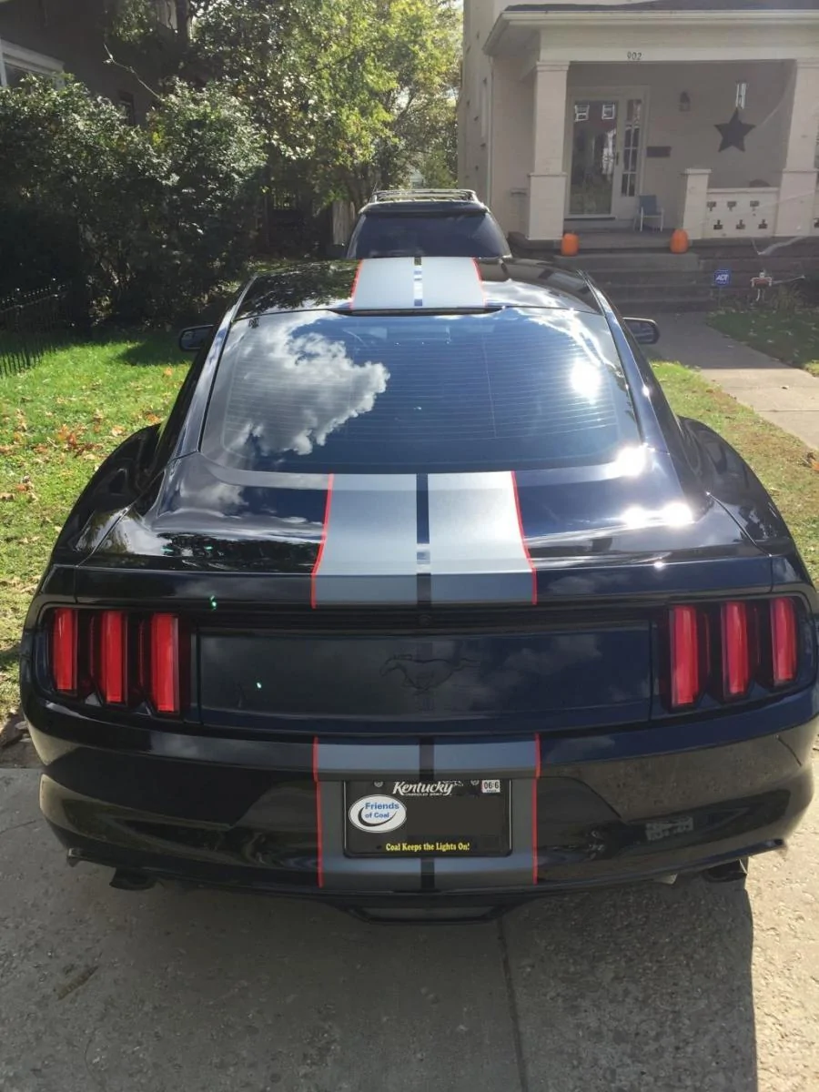 stripes rear.webp