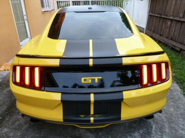 P1080221.webp
