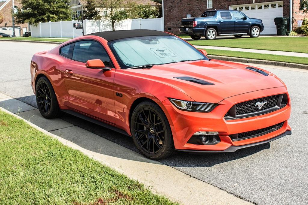 black roof.jpg