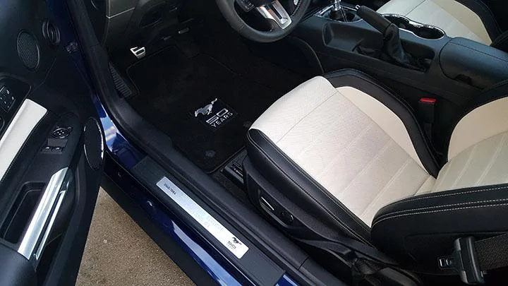 floor mats.webp