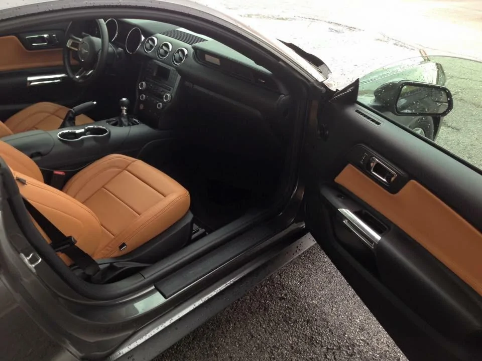 Interior.webp