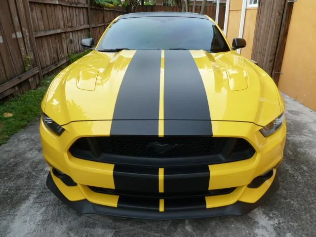 P1080177.webp