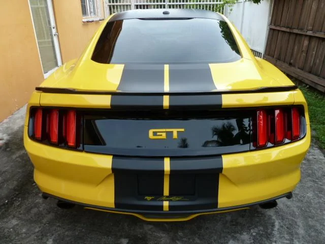 P1080179.webp