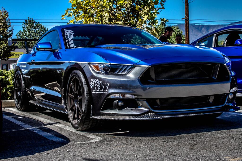 M6G-CRUISE-03_zpsgiubq67w.jpg