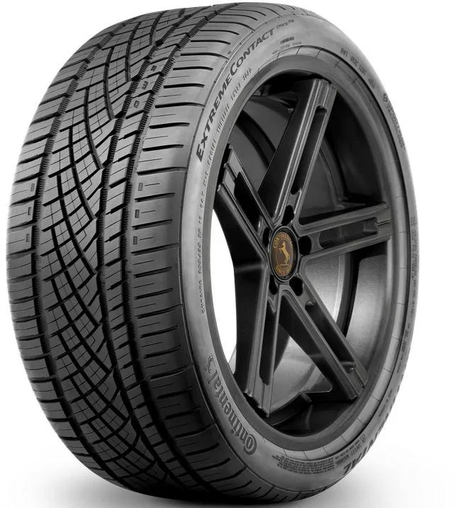 Rim.webp
