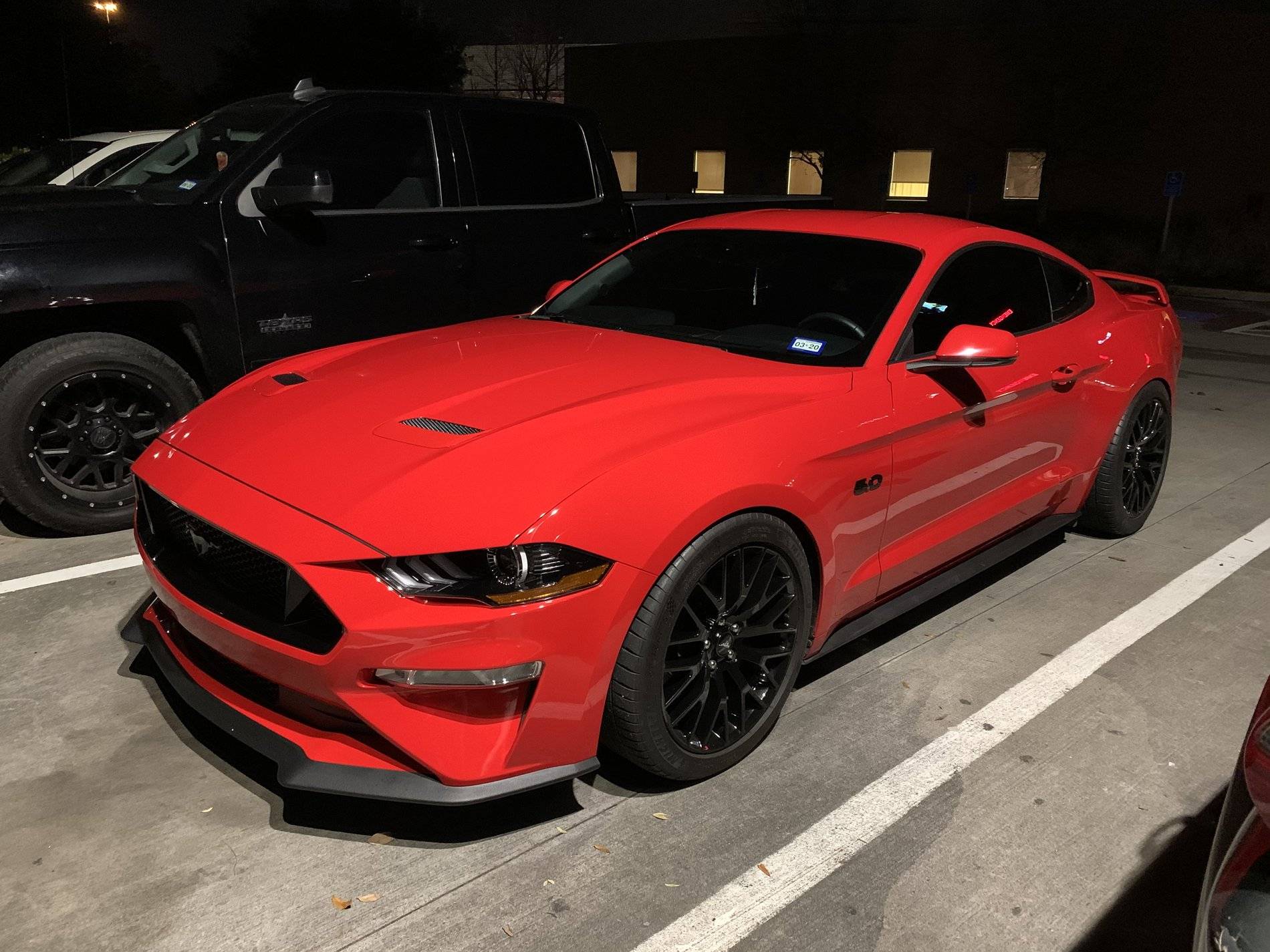 mustang.jpg