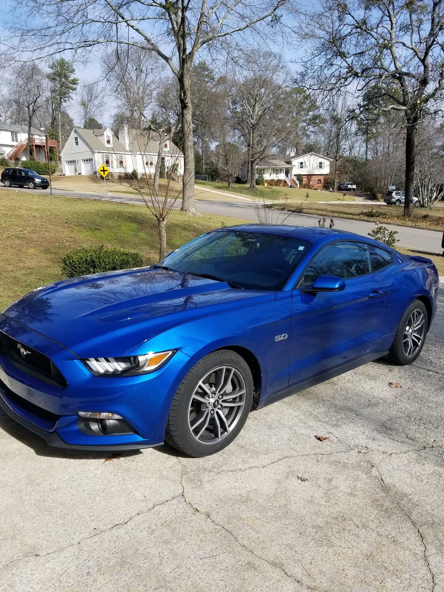 mustang.jpg