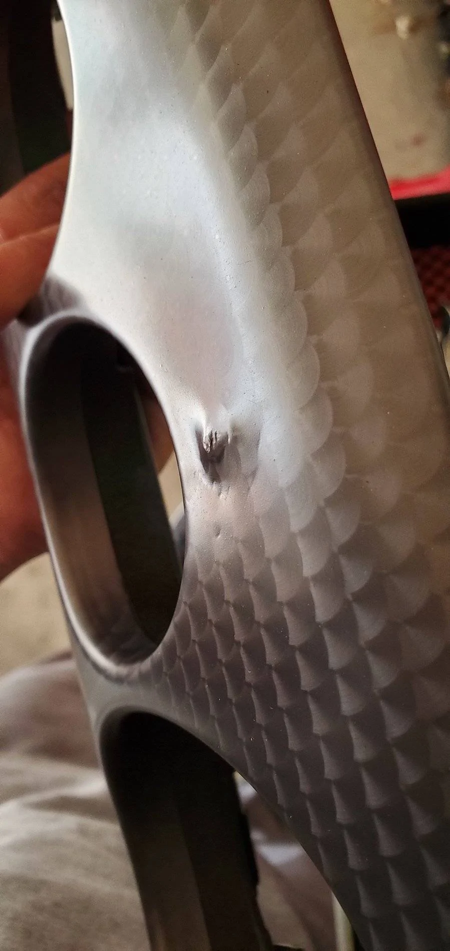 20200201_134203.webp