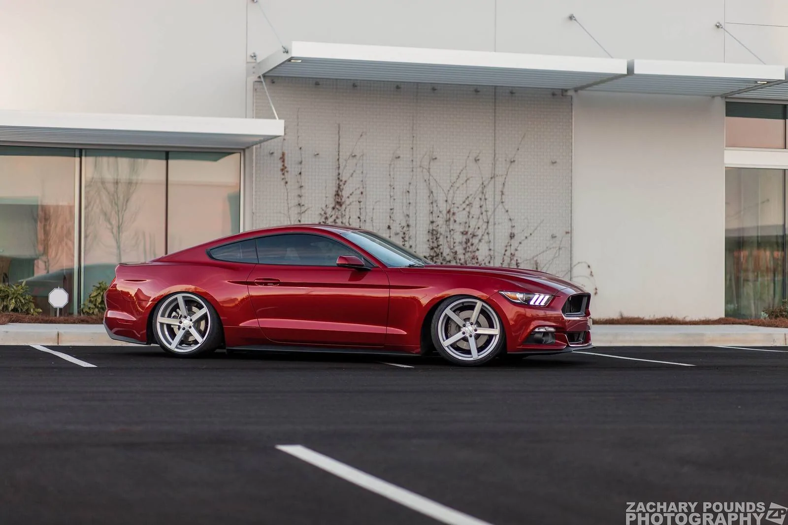 24251381169_ae879dfcd4_h.webp