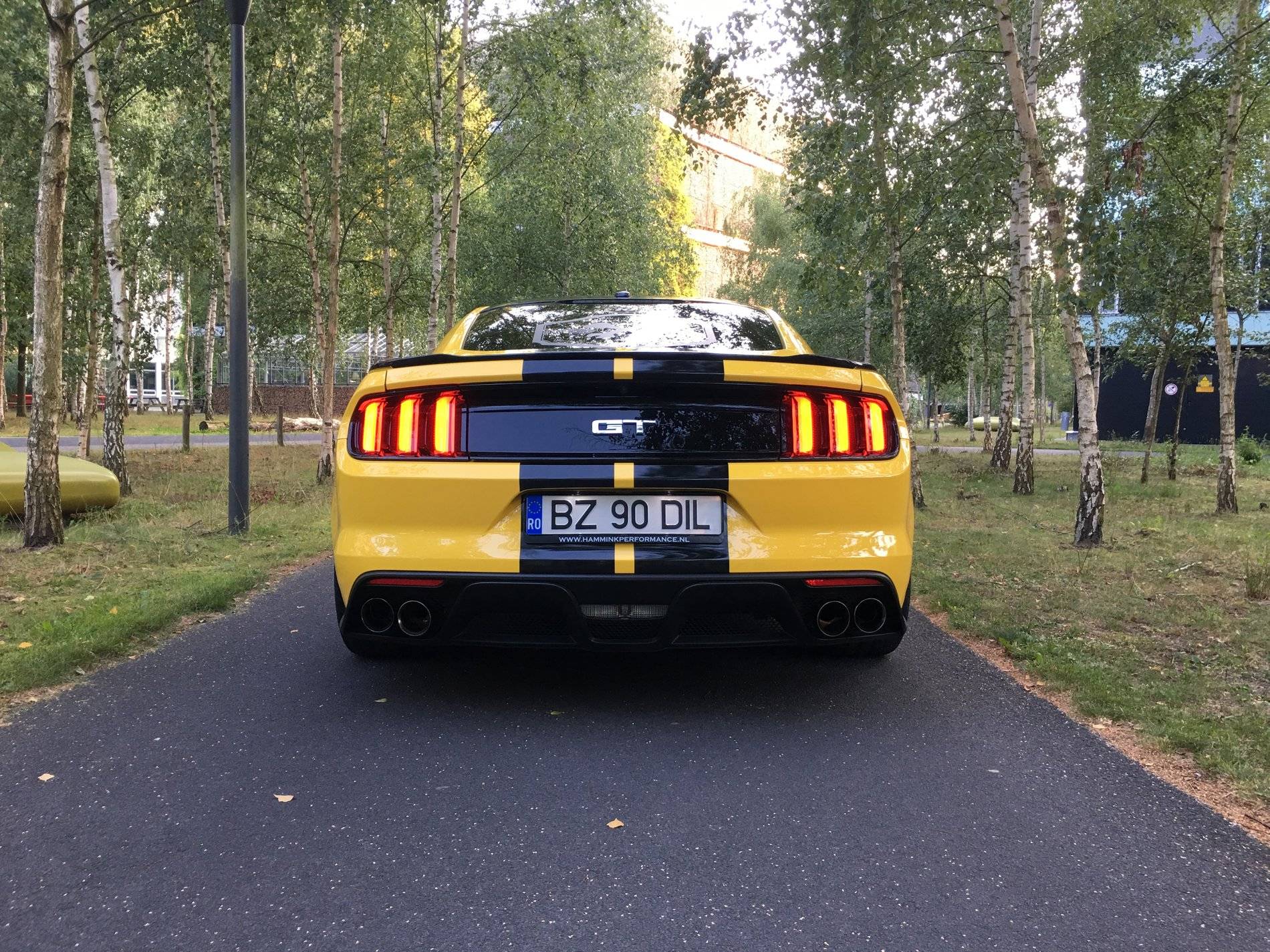 20190825_174525533_iOS.jpg