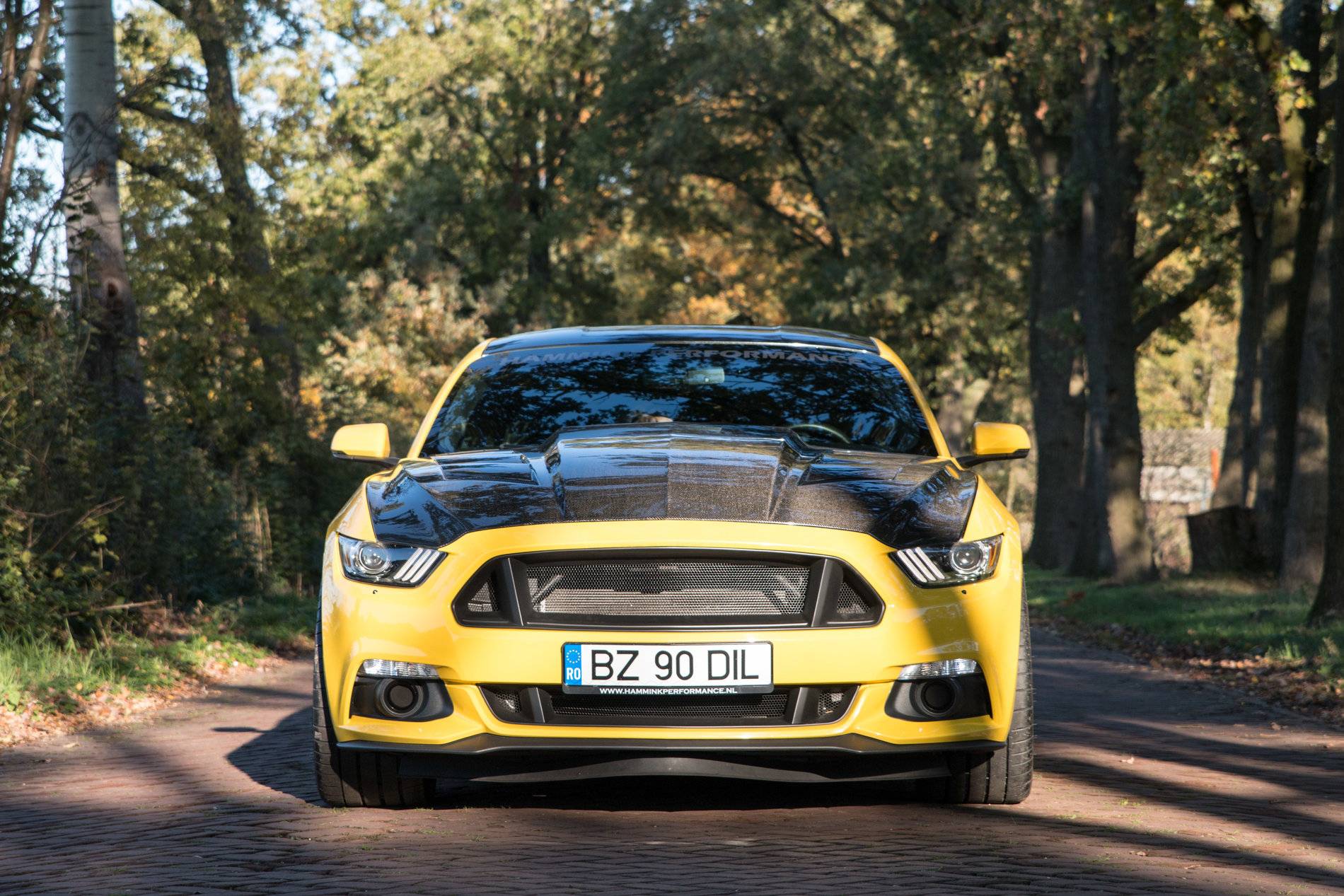201911 Mustang 004.jpg