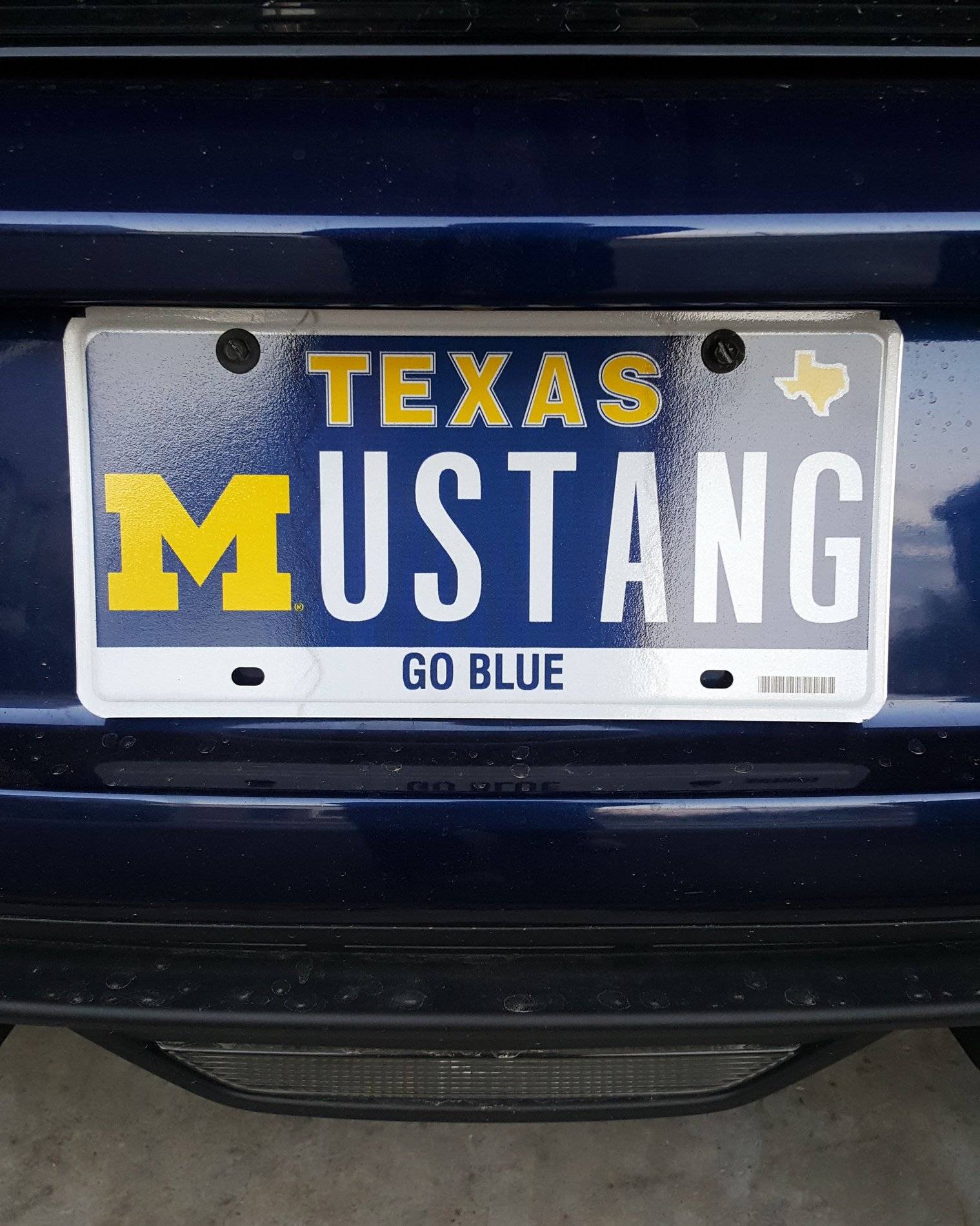 TX Mustang (2).jpg