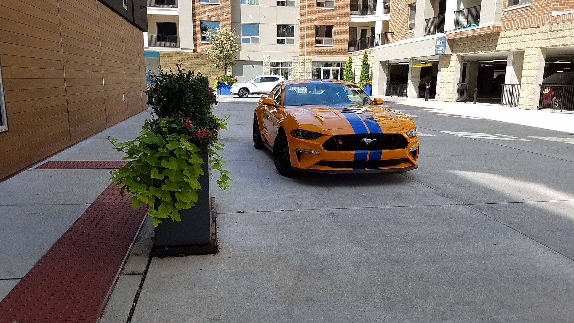 20190713_113130.jpg